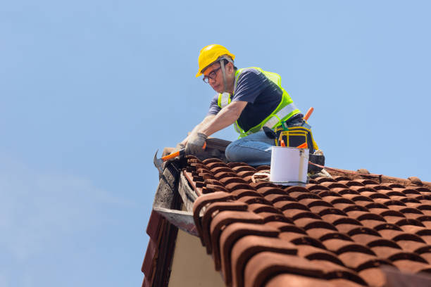 Best Roof Leak Repair  in USA